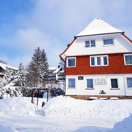 Hotel Elisabeth-Ilse Braunlage Kültér fotó