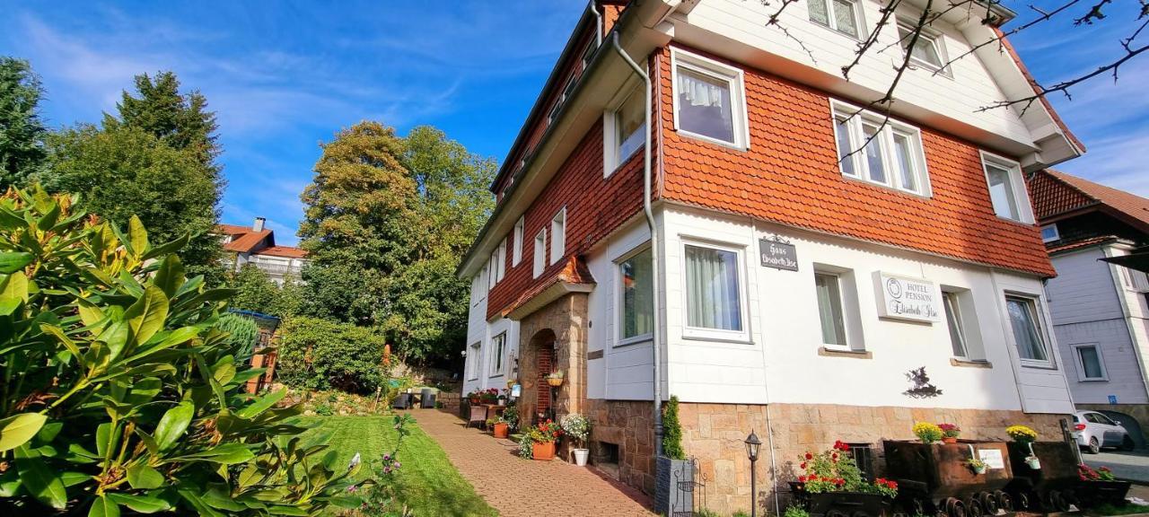 Hotel Elisabeth-Ilse Braunlage Kültér fotó