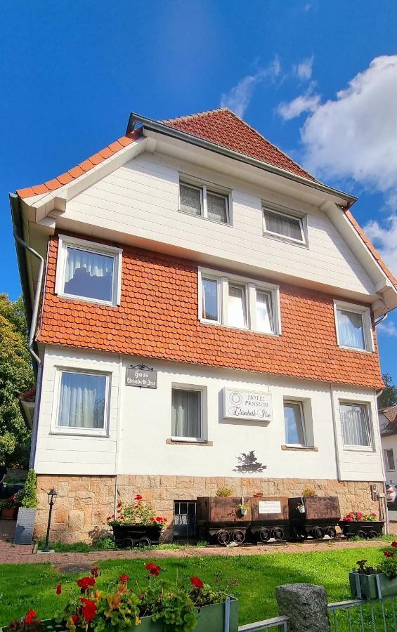 Hotel Elisabeth-Ilse Braunlage Kültér fotó