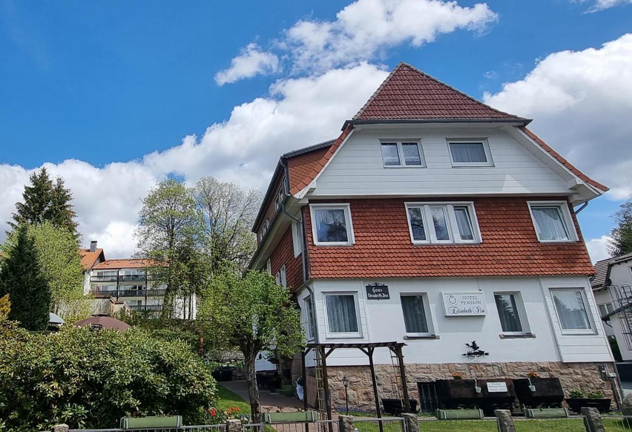 Hotel Elisabeth-Ilse Braunlage Kültér fotó