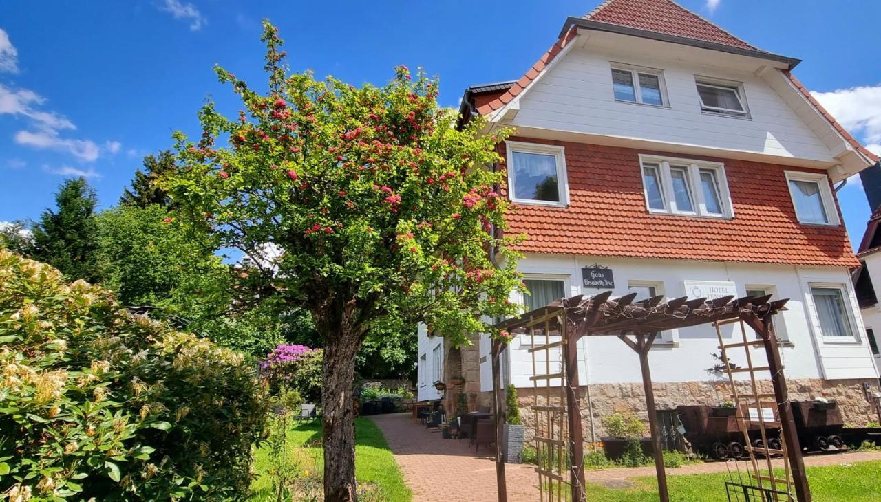 Hotel Elisabeth-Ilse Braunlage Kültér fotó